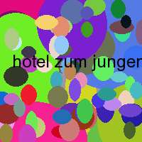 hotel zum jungen romer